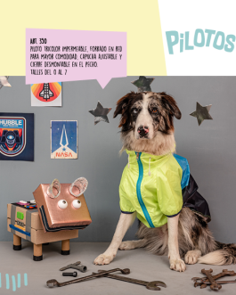 PILOTOS
