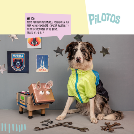 piloto