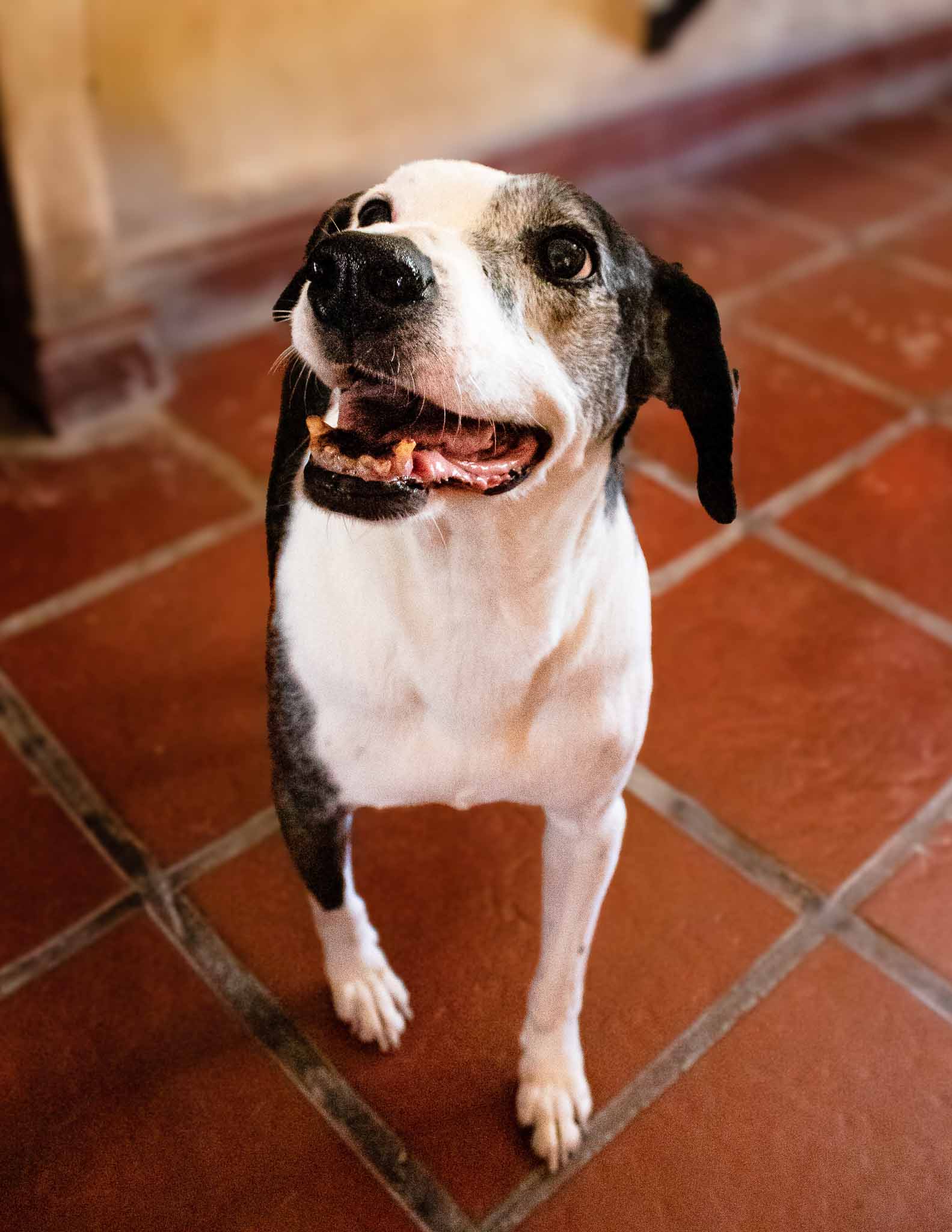 MARCELITO